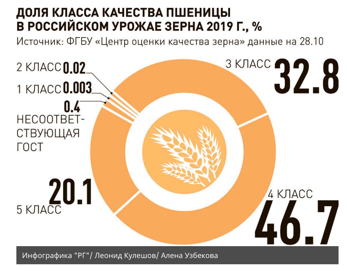 Россия производство зерновых. Экспортеры пшеницы. Экспорт зерна. Производство зерна. Урожайность зерна в России 2020.