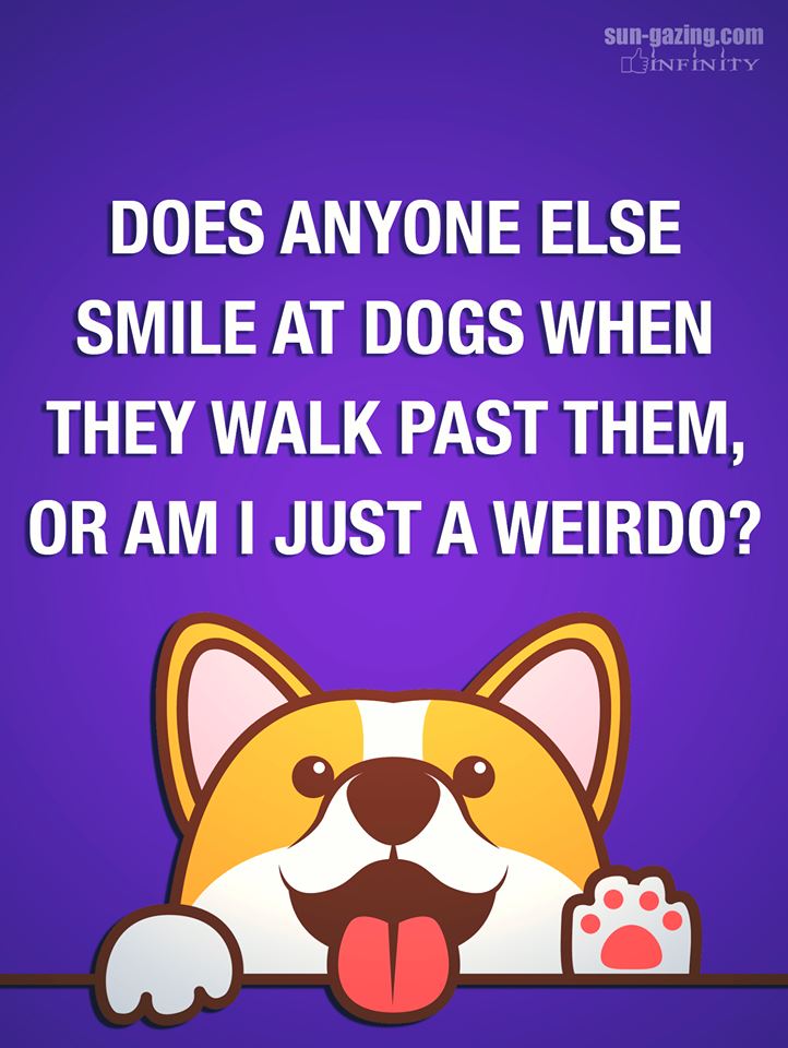 UrbanPup's tweet photo. Def not a weirdo! 😆😃
#doglovers #lovemypup #WednesdayWisdom #dogfashion #puppies #DogsofTwittter #coatsfordogs #pampereddogs https://t.co/CDbWEvBp0G