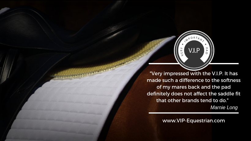 ARPRM's tweet photo. We are looking for new distributors and stockists across many territories  #b2b #powerofsocialmedia    @VIPequestrian   #VeryImportantPad  #Stockists #Protectionperfection #horses #jumping #dressage #endurance #eventing #racing #saddlepad https://t.co/xCMwUI4pe6