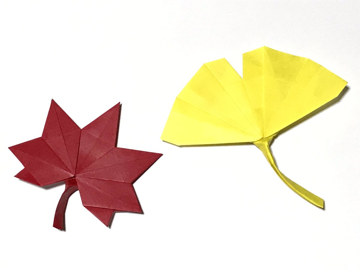 まつもとかずや בטוויטר 折り紙 折り紙作品 Origami カエデ イチョウ 季節の折り紙 過去作品ですが カエデ イチョウ Acer Ginkgo