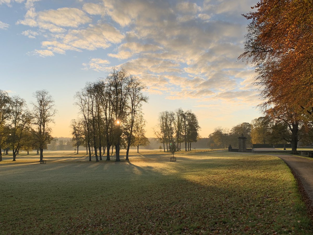 BramhamPark's tweet photo. It was really beautiful coming into work this morning, love the #Autumn colours! #bramhampark #bramhamhorse #ebht #bramhamhorsetrials #winteriscoming #autumnishere https://t.co/LyWy3CvE9B