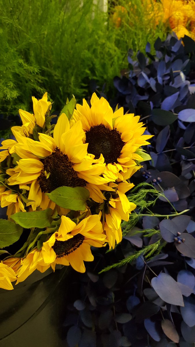FerndaleFlowers's tweet photo. #funwithflowers #wedeliverhappiness #varietyofflowers #ferndaleflorist #freshmarketflowers #freshflowers #floristinjohannesburg
Call us today for your custom made arrangement
Tell: 011 787 5117 https://t.co/DdWxjAvZYx