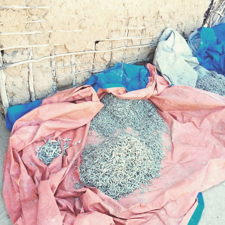 Now if that isn't a cauldron on Macbethian proportions I don't know what is! Boiling dagaa for resale in Mongovyeru, Mkinga district in northern Tanzania #projectblast #tanzaniafishing #tanzaniafieldwork
