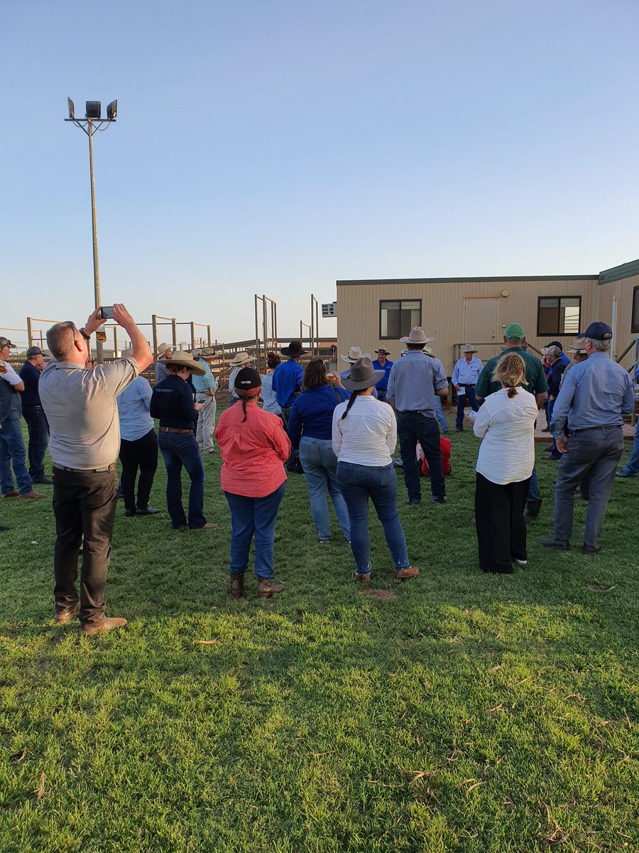 Richard Brake (@rich_brake) on Twitter photo Finished up an excellent day at the Roebuck Export Depot where they handled 80,000 head of cattle this season <a href="/Farmanco/">Farmanco: Analyse - Innovate - Grow</a> Finished up an excellent day at the Roebuck Export Depot where they handled 80,000 head of cattle this season <a href="/Farmanco/">Farmanco: Analyse - Innovate - Grow</a>