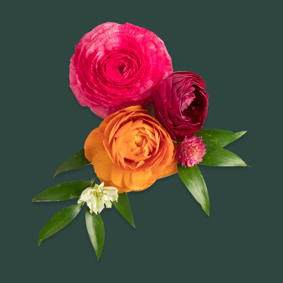 Paper_Source's tweet photo. Big news is blooming! Today, @riflepaperco launches their new fine paper wedding invitation collection exclusively for Paper Source. Learn more on our Instagram story.
#PSWedding #riflepaperco #exclusive #weddinginvitations #weddinginspiration #everafter #papersource https://t.co/WJ9U1PIqlJ