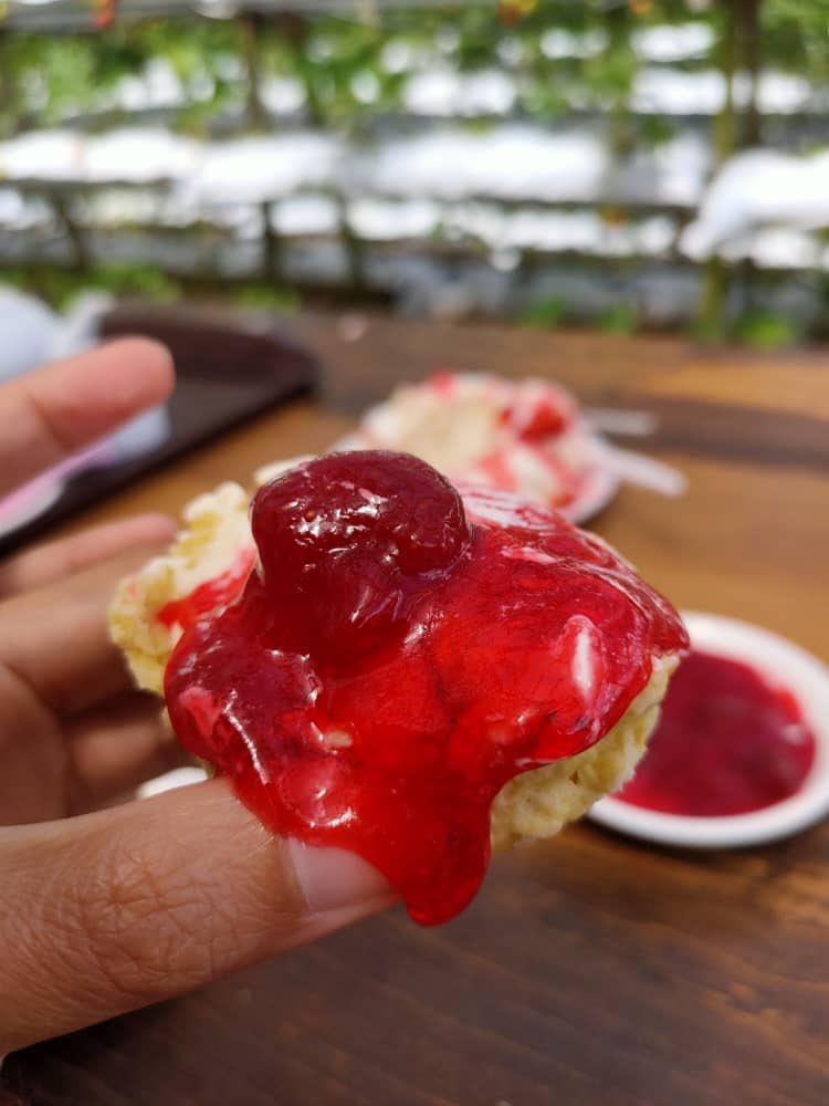 Always looking forward to enjoy fresh baked scones at KHM Strawberry Farm @cameronhighland #scones #pavlova #strawberryicecream #cameronhighland