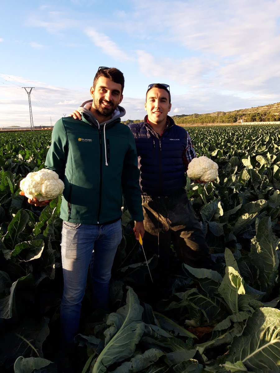 mruyala's tweet photo. Probablemente dos de las grandes promesas del sector, disfrutando con ellos de unos días en el Valle del Ebro evaluando coliflores #yosoydeclause https://t.co/SSjLjJSA4o