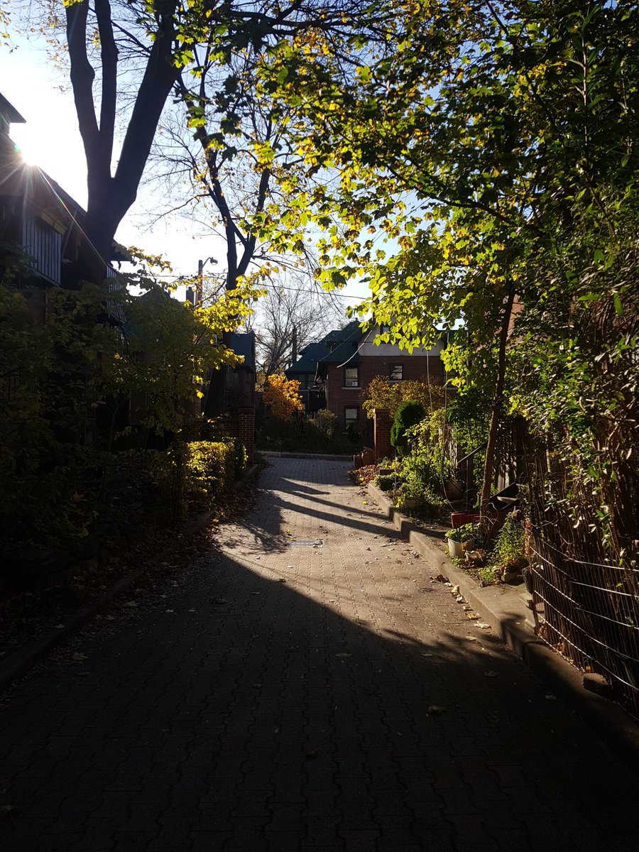 MoonbeanMusic's tweet photo. It's a beautiful day :) Lets make some music! #humberblitz https://t.co/PhoeFUDLJ1