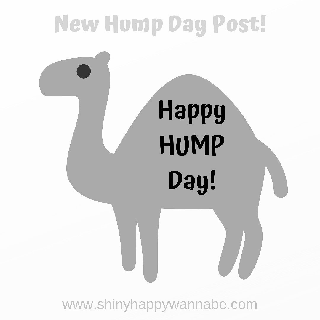 ShinyHappyWanna's tweet photo. https://t.co/NBgj2u2opJ

#humpday #WednesdayThoughts #WednesdayMotivation https://t.co/C351Tfy8Ok