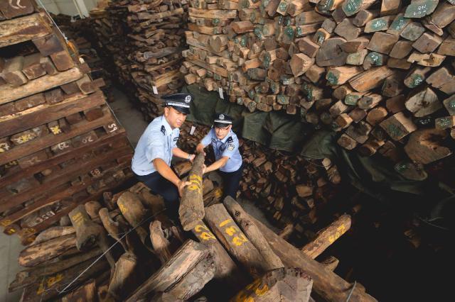 ivonnehiguero's tweet photo. New @WorldBank report estimates real cost of illegal logging&amp;fishing &amp; #WildlifeTrafficking at a jaw-dropping USD$ 1-2 trillion
This is how illegal trade &amp; #wildlifecrime steal from national economy, hurt legal trade &amp; deprive people of their #livelihoods https://t.co/EJTAcnALAY https://t.co/mI1T5wuIe1