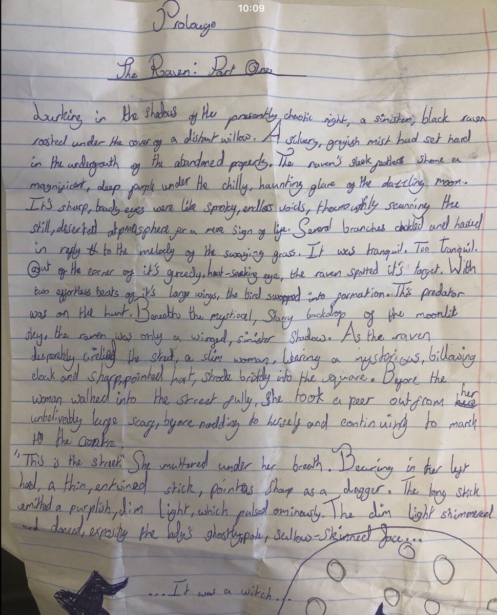 Layton_Year5 tweet media