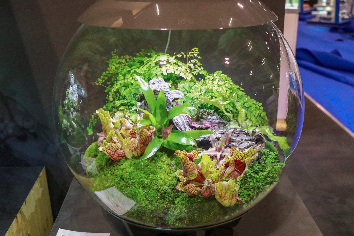 OaseSprl's tweet photo. Merci à Samuel Baker d'avoir mis en place ces trois magnifiques #biOrb AIR's pour #AQUA. Nous aimons la variété de ce que l'on peut faire avec nos terrariums. Consultez son manuel complet biOrb AIR ici: https://t.co/kkPCyrlWZ6 https://t.co/0FQIVFZl9m