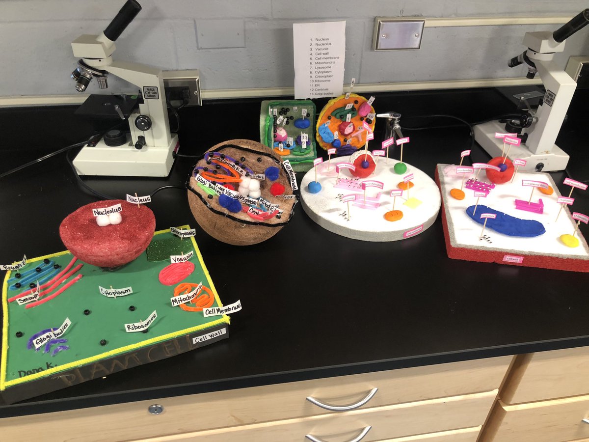EfstatG's tweet photo. Some of the best #cellprojects I’ve ever seen! #rmms https://t.co/Uc81cct5qO