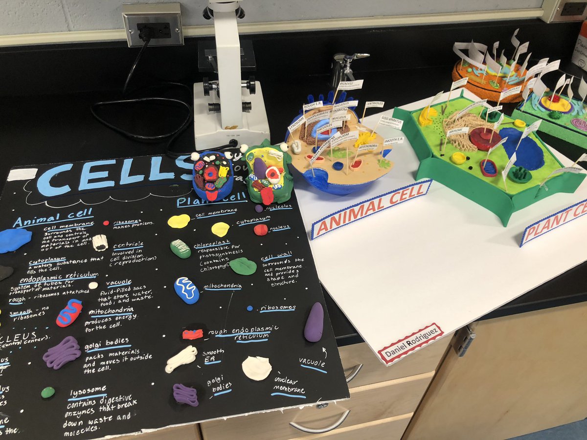 EfstatG's tweet photo. Some of the best #cellprojects I’ve ever seen! #rmms https://t.co/Uc81cct5qO