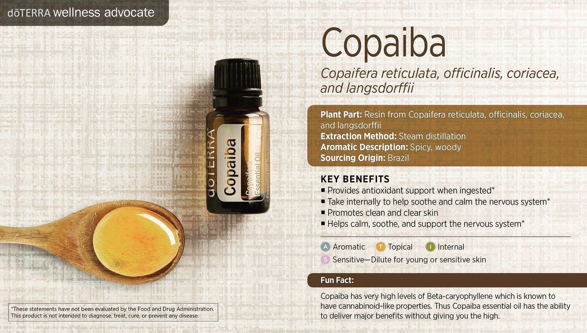 for_essential's tweet photo. Copaiba oil is made from the resin of the copaiba tree. It provides antioxidant support and calms the nervous system. How many of you have tried this oil? Let me know in the comments below! #doterra #essentialoils #doterraessentialoils #copaiba https://t.co/3qeIjyXGLM