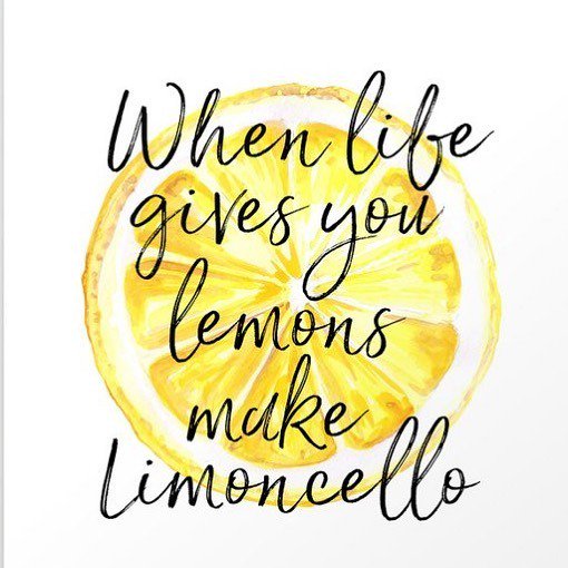 SunInMySoul_atl's tweet photo. It is not wanting to win that makes you a winner, it is refusing to fail. - Unknown 🍋 #nevergiveup #suninmysoul #suninyoursoul #believe #yesyoucan #make #limoncello 💛 https://t.co/ByGzVSBuAn https://t.co/1UZFUAHbdx