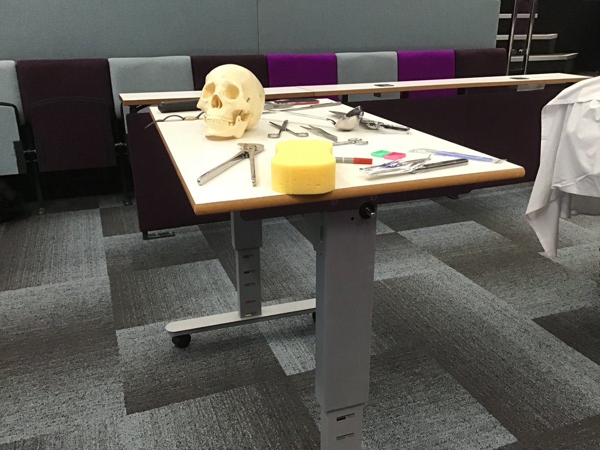 MissLCDawson's tweet photo. AS Biology have had a great time this afternoon at the live autopsy lecture held at UHW (no real dead bodies). Thank you @ilovepathology we learnt so much and even have a few budding pathologists @CathaysHigh! #post16enrichmentprogram #opportunitiesforall https://t.co/RGcFYG5N3c