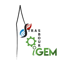 Hello everyone! <a href="/IgemStrasbourg/">iGEM Strasbourg</a>  will join the #SPBCareerFair on the 13th of November at #IGBMC.

To learn more about the company you can visit their website (2019.igem.org/Team:Strasbour… )

The registration closes TODAY!
…areerfairpauseyourtimer.wordpress.com…/spb-ca…/

#PauseYourTimer