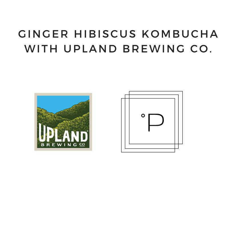PlatosGravity's tweet photo. We're back with a great episode! Huge thanks to @UplandBrewCo for hosting us at their new Fountain Square location! #CraftBeer #homebrewing https://t.co/zyY4O8Arl5 https://t.co/UammpstxFU