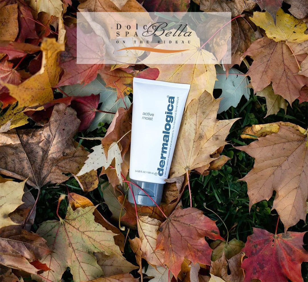 dolcebellaspa's tweet photo. With winter at our doorstep, it is important to update your routine to reflect the changing conditions. @dermalogica has perfected their "Active Moist" cream which hydrates and locks in moisture. Try it today at Dolce Bella Spa, #ygk's most awarded #Salon and #Spa. https://t.co/9c4w8FV1lb