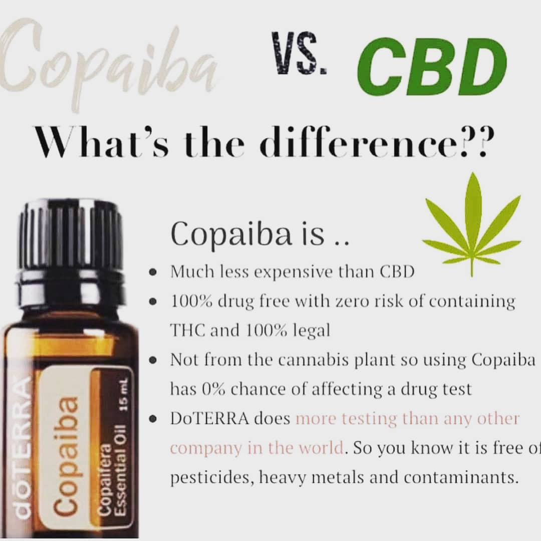 for_essential's tweet photo. With all the talk of the benefits of CBD oil I've had several people ask me if doTERRA has any alternatives. Copaiba has the same chemical compound, Beta-caryophyllene, as CBD https://t.co/VIqbGk6pyV