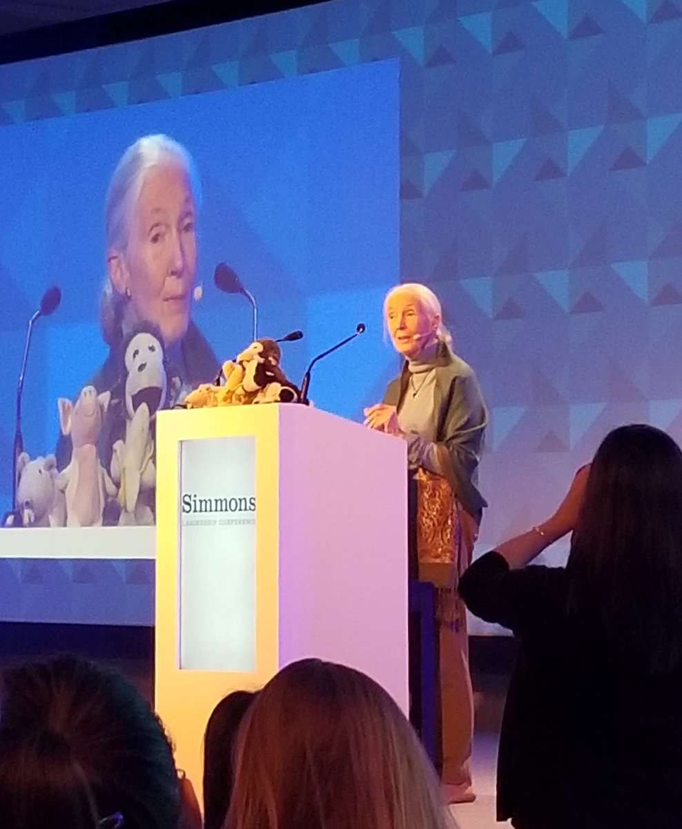 JFBarrien's tweet photo. Jane Goodall at #SLCDublin, outstanding as ever, asks: How come if the most โintelligentโ beings are destroying the planet?โ @SusanMBrady1 @SlaughterDR @AshaGeo96856403 @djoyperez @evandam @SlaughterDr @simmonsleads @JaneGoodallInst @roots&shoots https://t.co/AUZKJU91eP