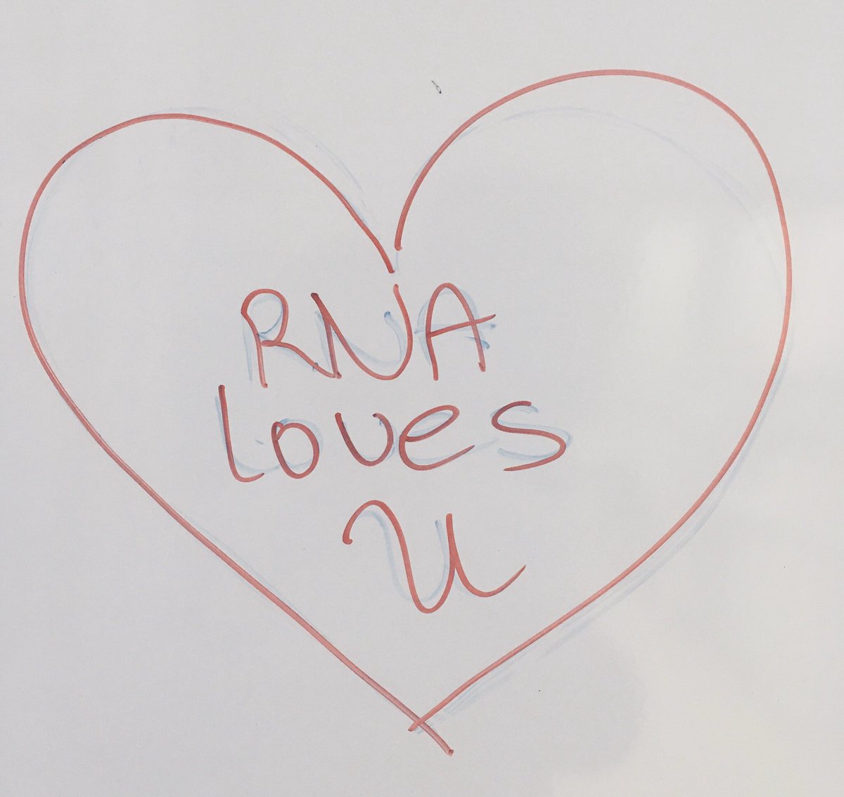 HentzeTeam tweet media