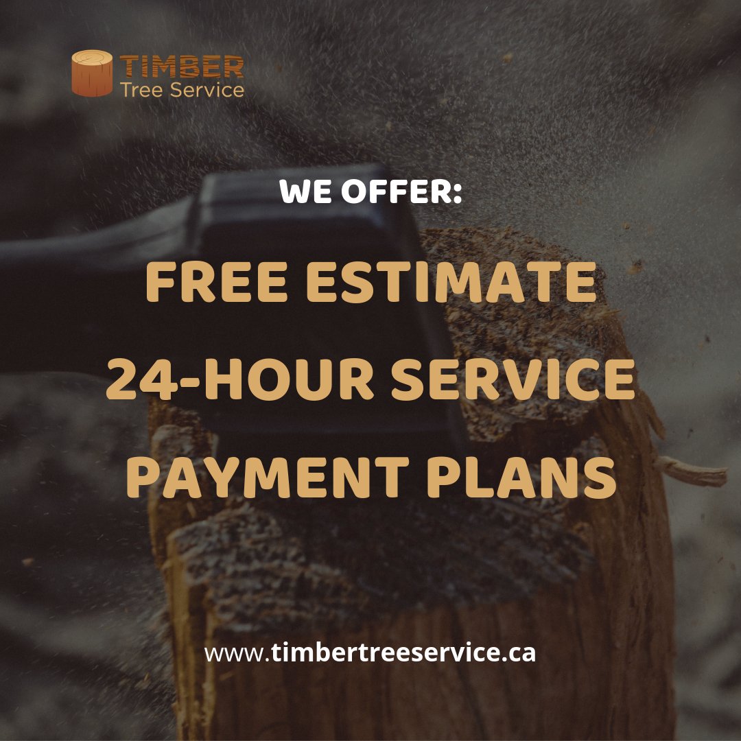 TimberTreeCA's tweet image. At Timber Tree Service, we know that getting rid of a problem tree can diminish the green in your wallet. 

#treecutting #pruning #arborist
