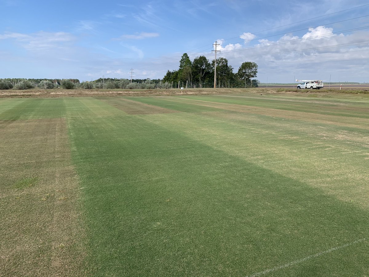 jbunruh's tweet image. Not quite as nice as fall colors on trees but I’m a grass guy so these colors will have to suffice. #LinearGradient bermudagrass drought study funded by @FGCSA and @USGA.