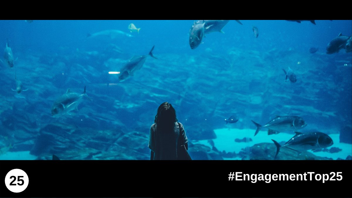 The window for submitting examples of great public engagement for our #EngagementTop25 is closing at the end of the week. 

There is still time for you to tag people, or organisations, that do great public engagement, or submit your examples directly: 
wellc.me/2lUeeHL
