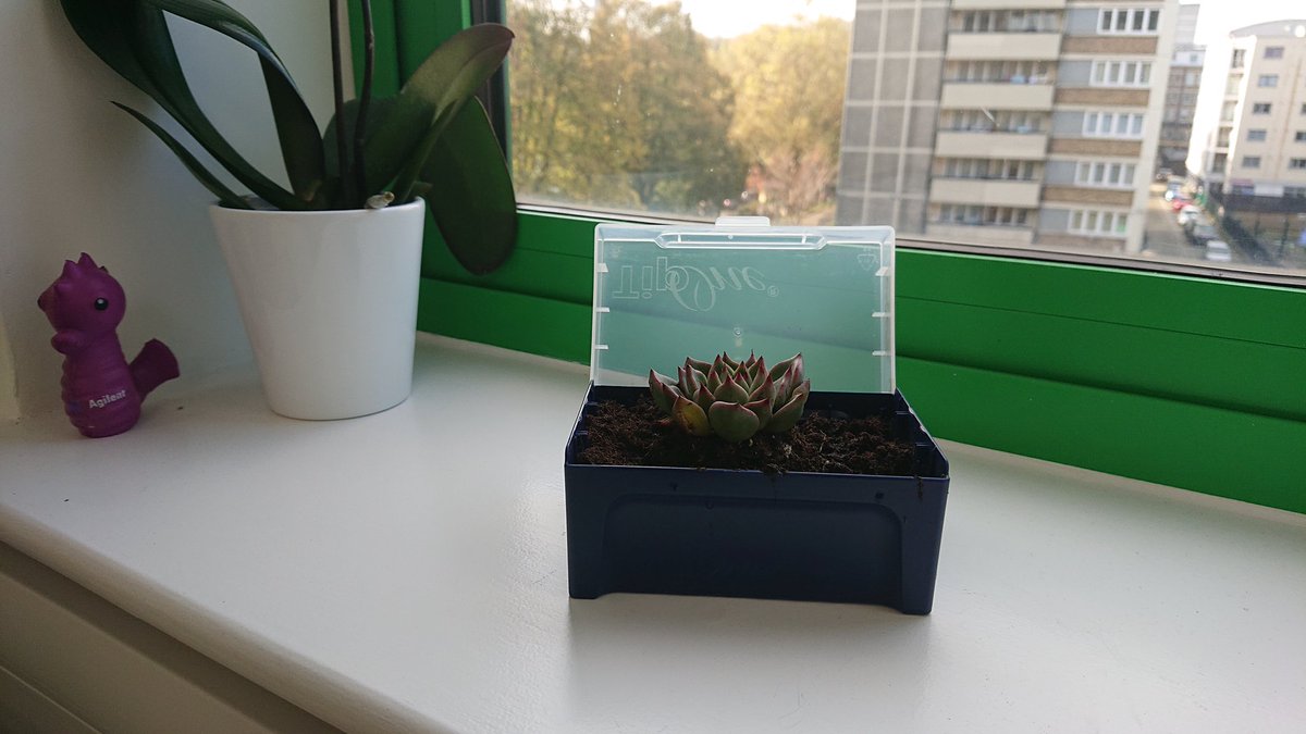 Vicz1004's tweet image. Thanks @StarlabUKLtd for brightening up my desk! Great incentive promoting sustainability through reuse of lab plasticware #starlabsustainabilityweek #notosingleuse @ucl