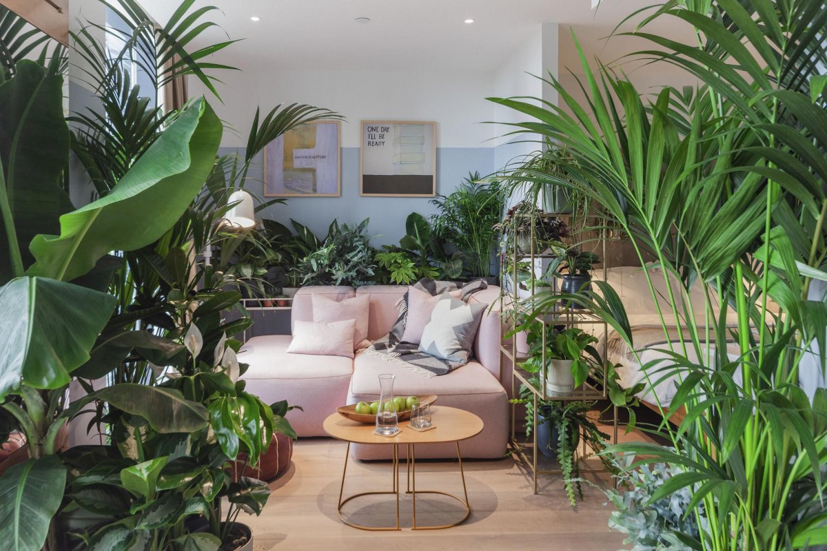 buff.ly/36aJrsv | "Heath has created a productivity suite adorned with Boston ferns, peace lilies and snake plants - all renowned for their productivity-inducing properties...