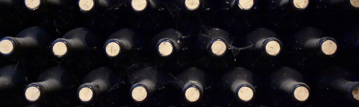 borndigitalwine's tweet photo. What if there were no glass? This was one of the questions we asked at the #BDWASummit with @Vinventions for our full discussion here's the link to our Medium page : https://t.co/vgUiERW5XG https://t.co/YhrEjoTOLy