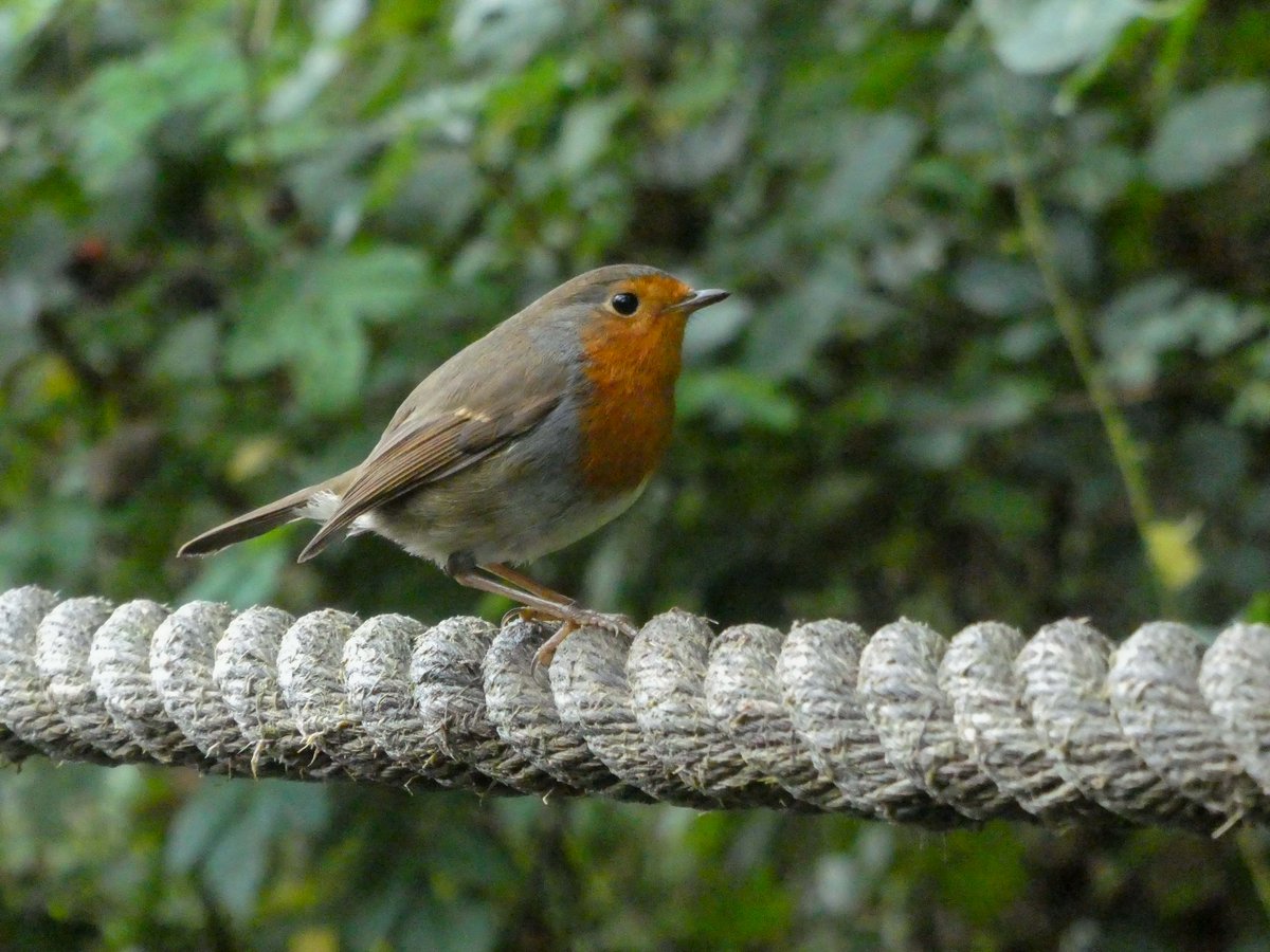 Lower Mill Estate tweet media