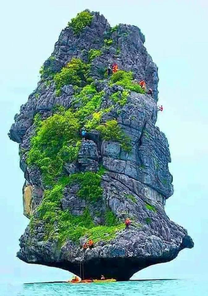 Anna D. Alger tweet media