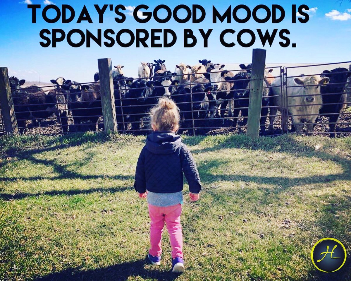 HogeLivestock tweet picture