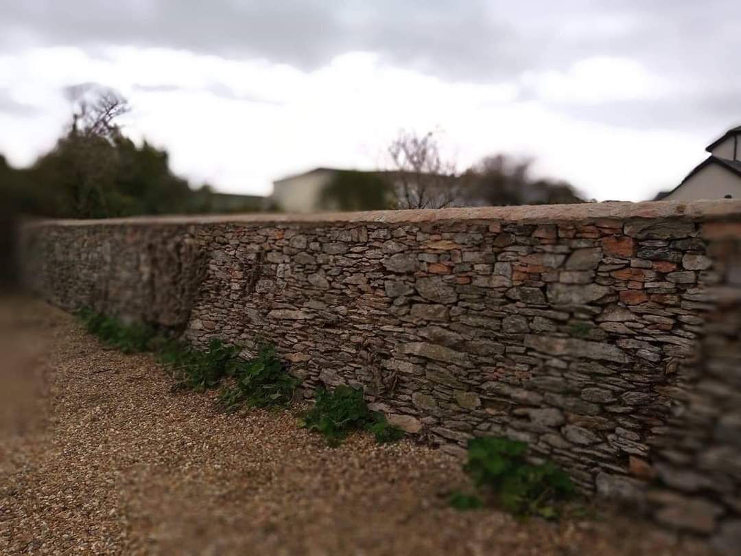 LibertyDevon's tweet photo. After years of neglect this boundary wall has a new lease of life and will go on for years to come. Even the toughest of Devon walls needs a little tlc! #devonstone #devonwall #naturalstonewall #devonlandscaper #landscapegardener #devon #walls https://t.co/eT5yM9cReR