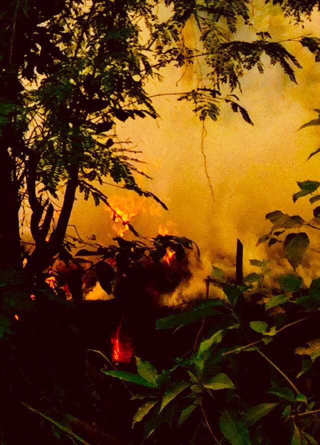GautamBashanta's tweet photo. Bornfire today in #sunwal,nepal https://t.co/0Jsmn5Ijbp