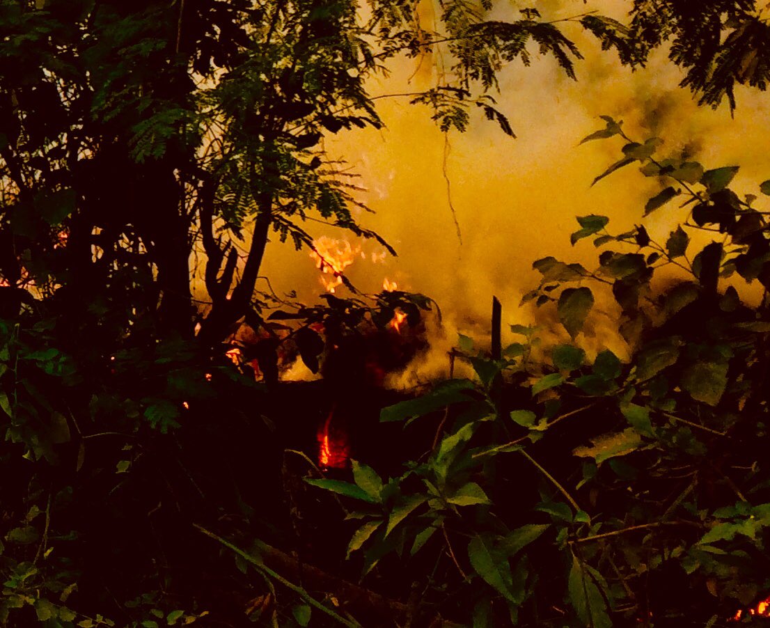 GautamBashanta's tweet photo. Bornfire today in #sunwal,nepal https://t.co/0Jsmn5Ijbp