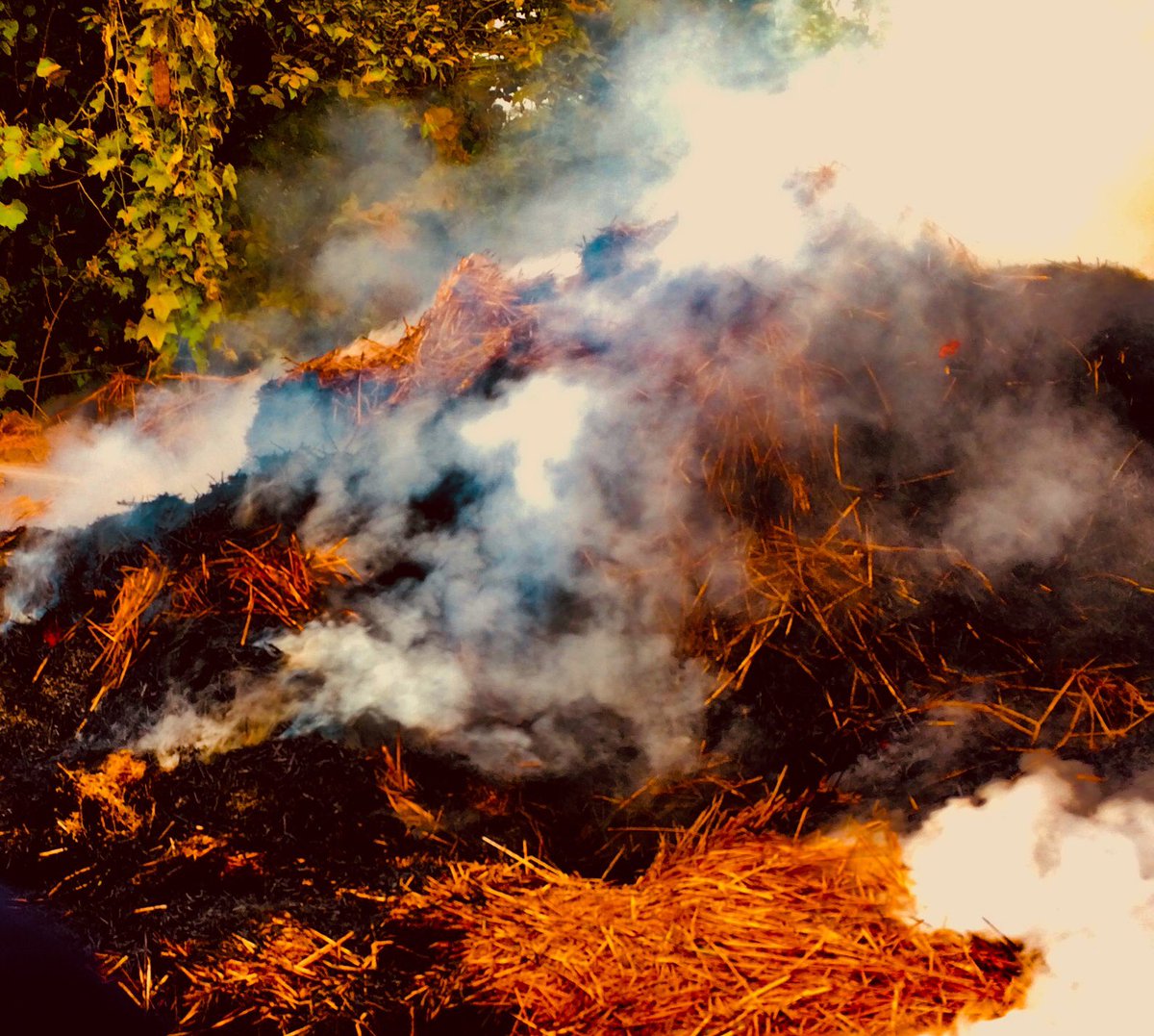 GautamBashanta's tweet photo. Bornfire today in #sunwal,nepal https://t.co/0Jsmn5Ijbp
