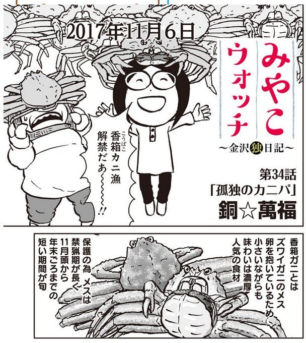 本日香箱カニ漁解禁だそうです!以前描いた香箱ガニの調理・実食レポ漫画よかったら読んで下さい。リンク先の「みやこウォッチ〜金沢独日記」34話が該当回です  