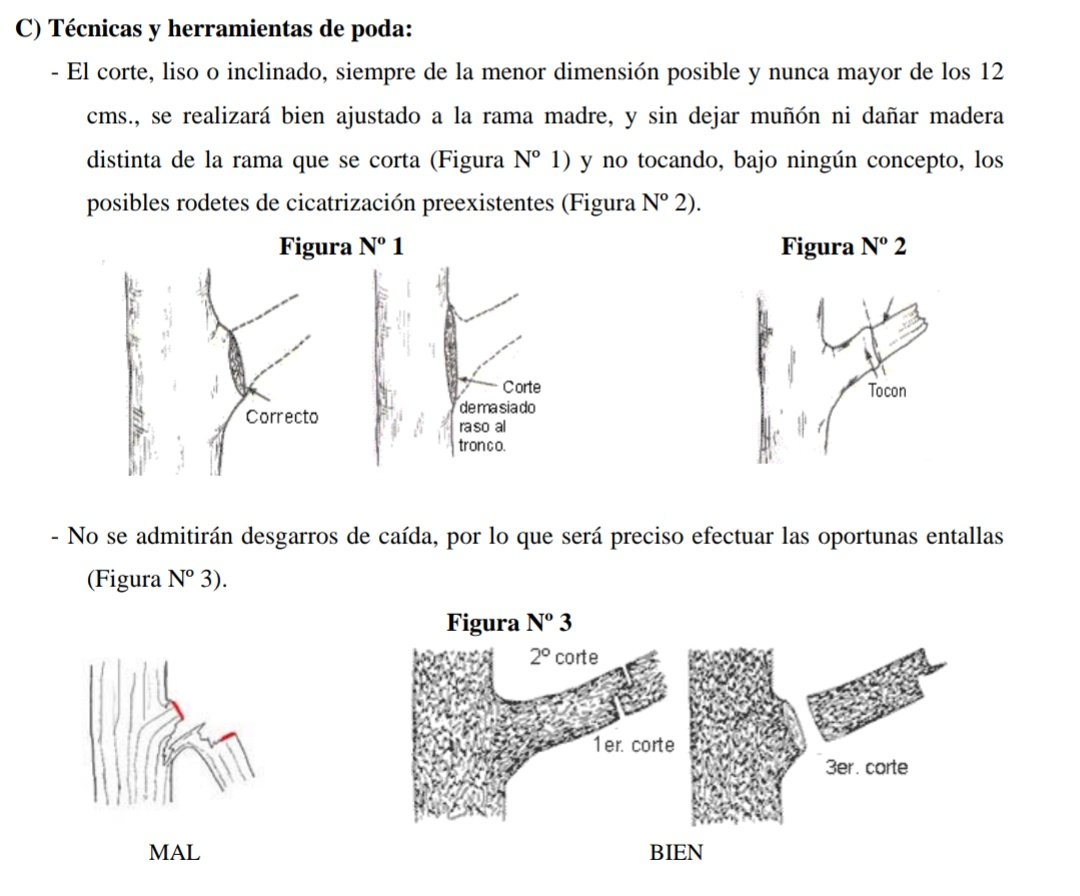squalius's tweet photo. ℹ️ #InfoForestal🌲 #Madrid
☑️ 📏Criterios técnicos para el tratamiento forestal del encinar madrileño. Podas, limpias y aclareos.
☑️ ⚖️ Normativa.
vía @Asoc_Forest_Mad
📌https://t.co/6Yb77gd2D1 https://t.co/UFQ7pdLOFn