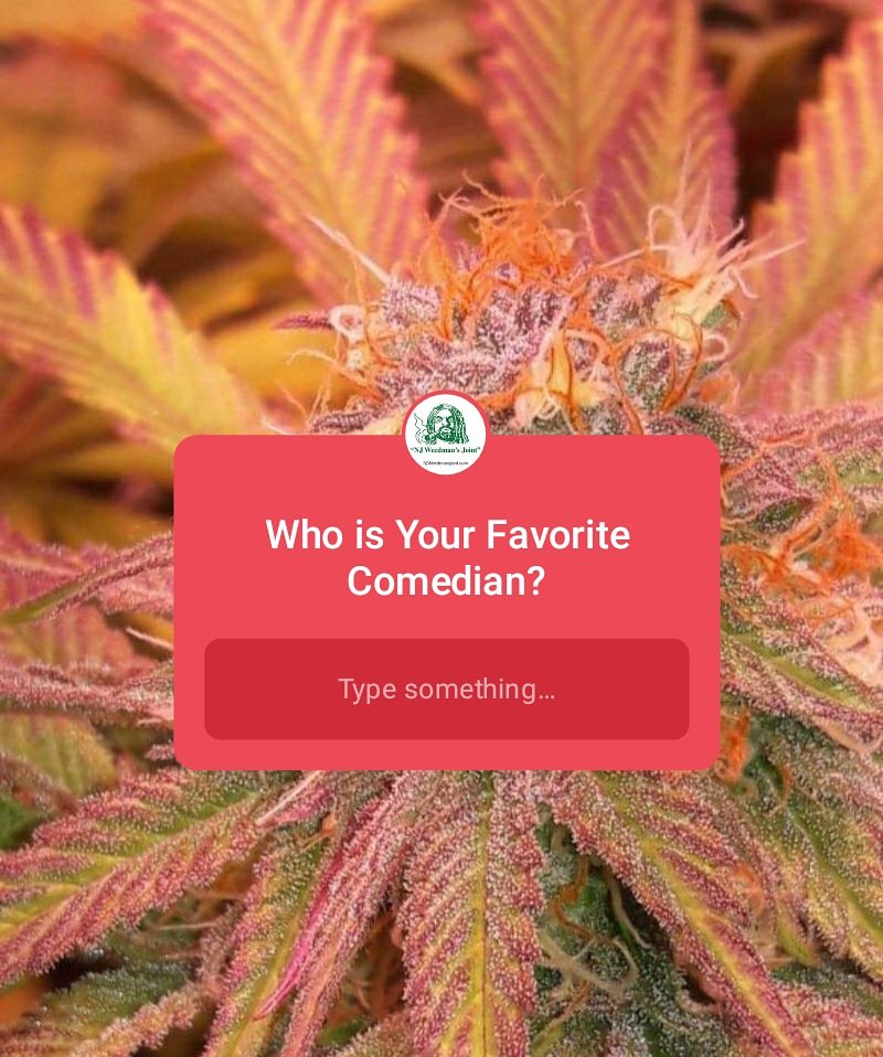 NJWeedmansJoint's tweet photo. Who is Your Favorite Comedian?
If you or anyone you know would like to have their pics featured for our daily #jointquestion let us know!

#comedy #comedian #cannabisflower #cannabis #questionoftheday #highthoughts #stonerquestions #stonerthoughts #njweedmansjoint #njjoint https://t.co/tg9GoSUEB2