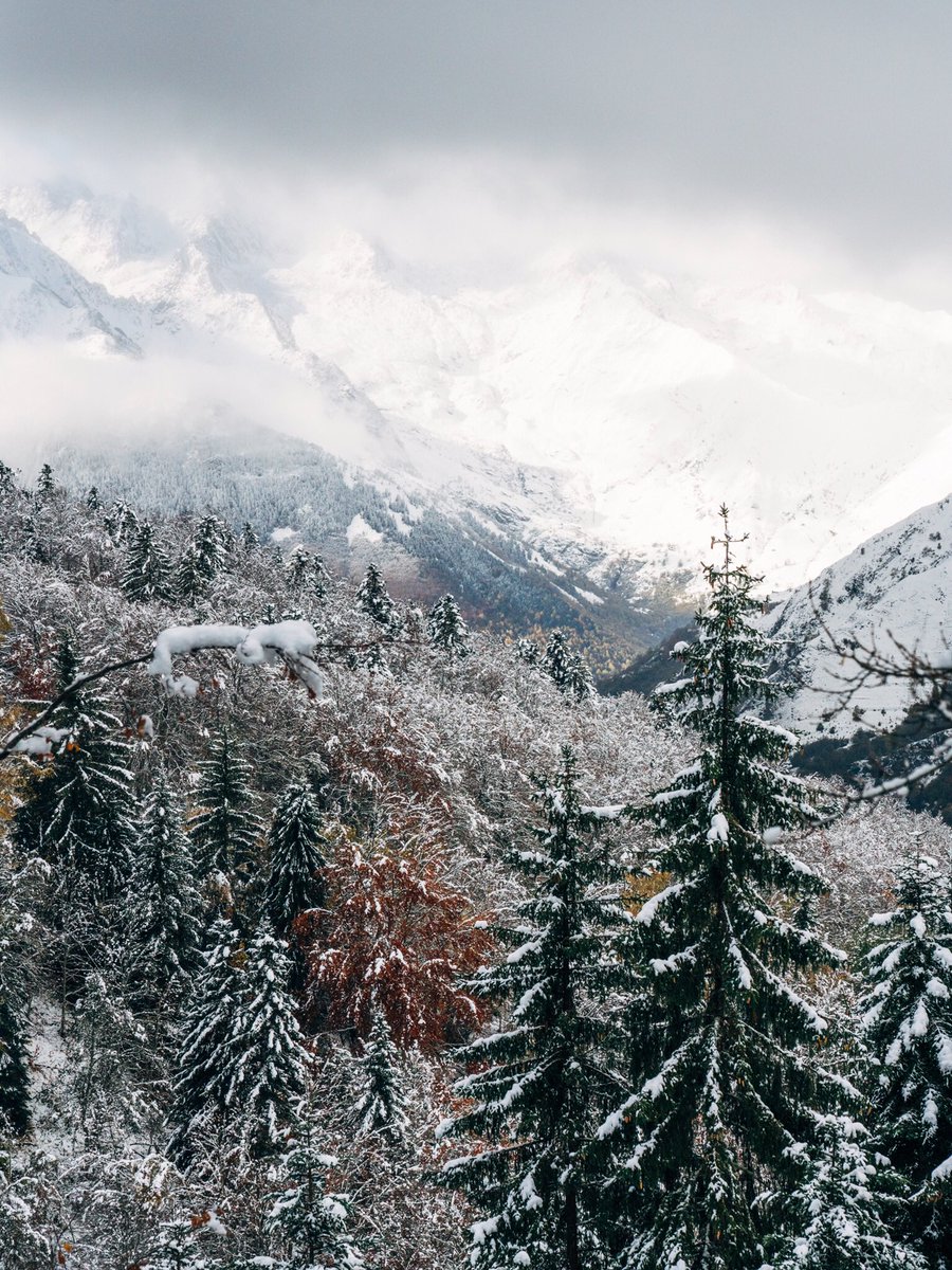 valleesgavarnie's tweet photo. La forêt du Lienz ce matin et l’envie de skier qui grandit ❄️🤩❄️ !#valleesdegavarnie #bareges #pyrenees https://t.co/MldZ3rfXqM