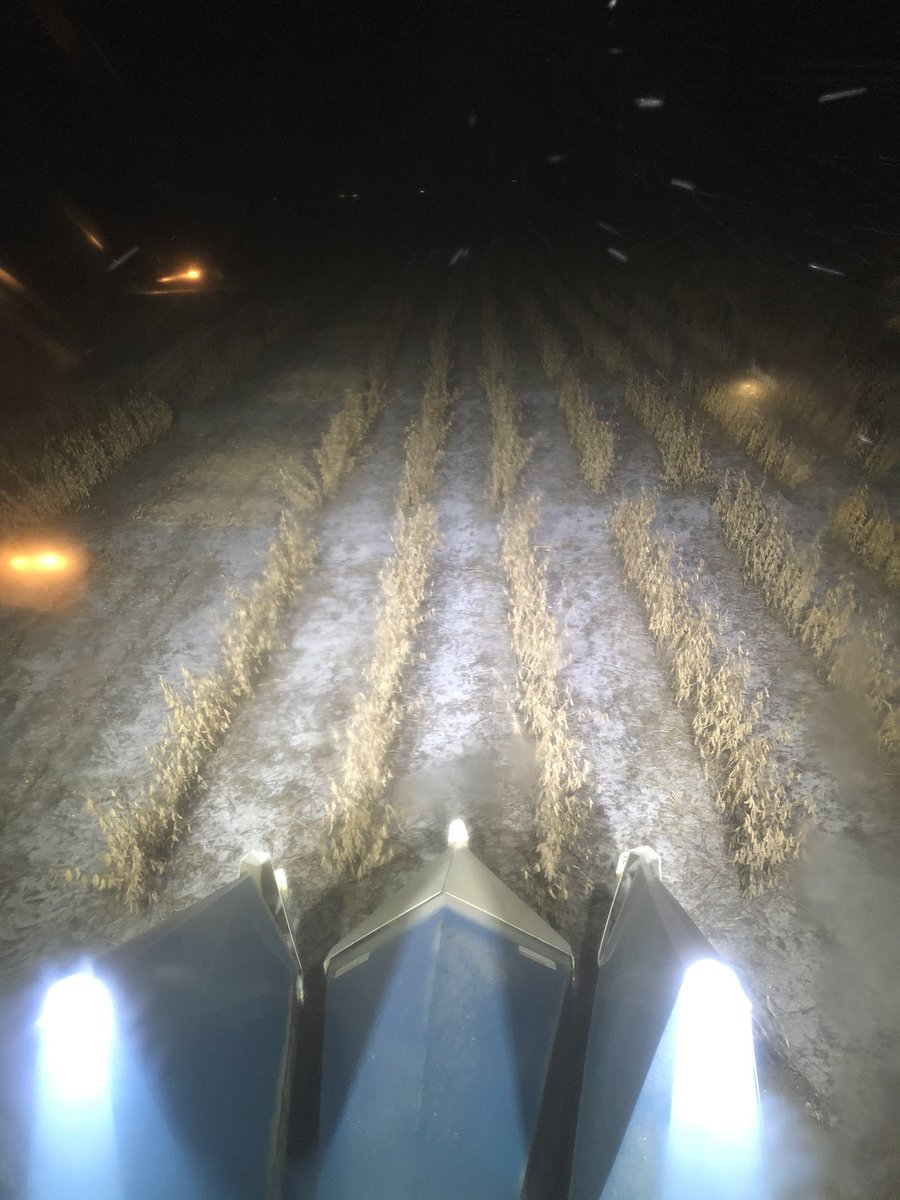 Brushvale Seed tweet media