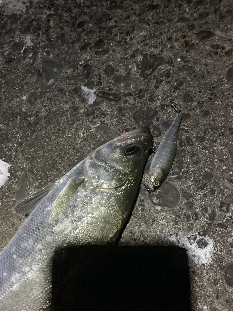 styleof717's tweet photo. 本日も仕事帰りのシーバスフィッシングからの冷えた身体を天一でホットにして帰りました😄🎣
#デルタロッドブランド
#610MH
#シマノ
#ウィップラッシュ
#南紀のルアーフィッシング
#天下一品 https://t.co/Lft8ltrVIy