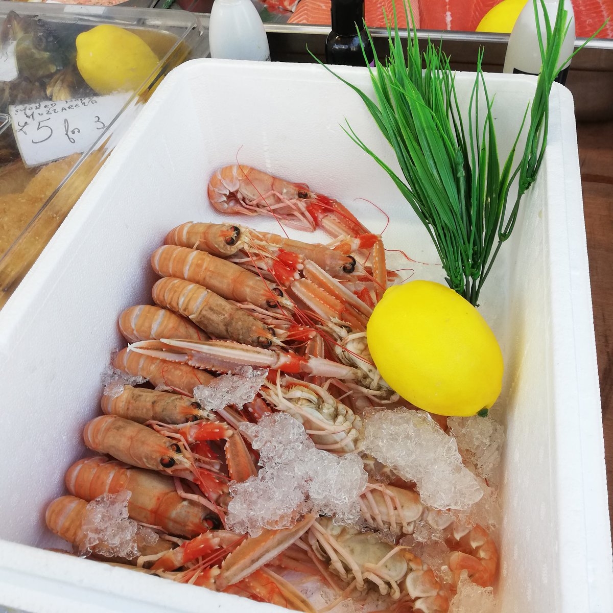 Come along to Thistle Street Food Market this weekend for the freshest fish from Pro Fish Services. Get ready to take home the best quality seafood for a taste like no other! 👌🏻

📅 Next market: Saturday 9th November 10am - 3pm
facebook.com/events/2517088…

#visitabdn #visitaberdeen