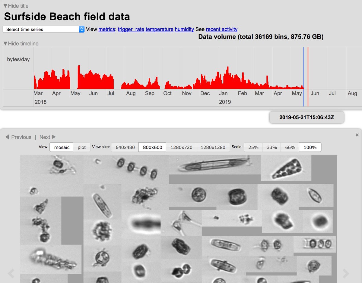 GCOOS1's tweet photo. Since we're at a #toxicalgae symposium this week, we thought we'd share a few of the Gulf's #kareniabrevis busting tools. The Imaging Flow CytoBot by @tamu_ocean is a flow cytometer &amp; video imager using pattern recognition software to ID algae. https://t.co/3ktDcwVBuc Cool, huh? https://t.co/fn60MSQP6k