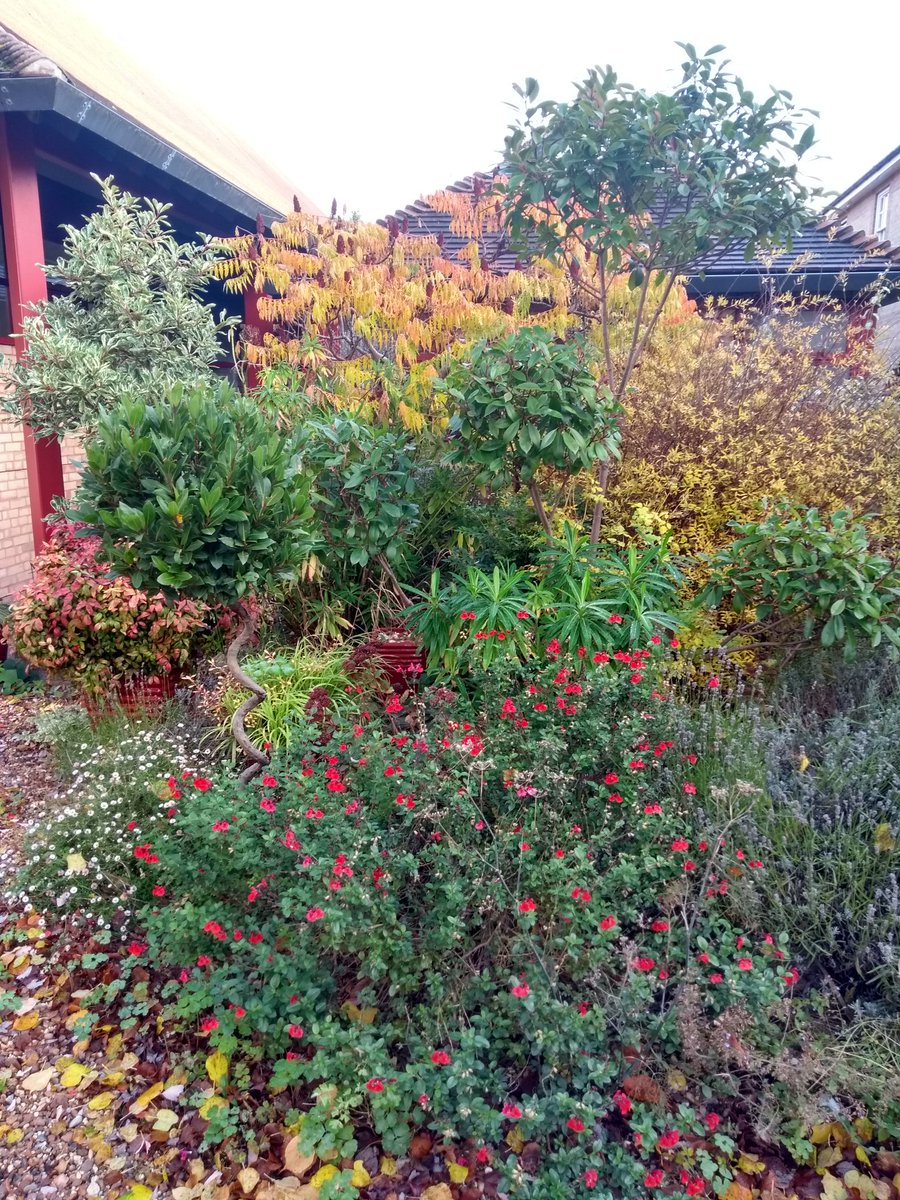 #lovemyjob #wolfsoncollegegardens
#cwa #horticulture #workbasedlearning