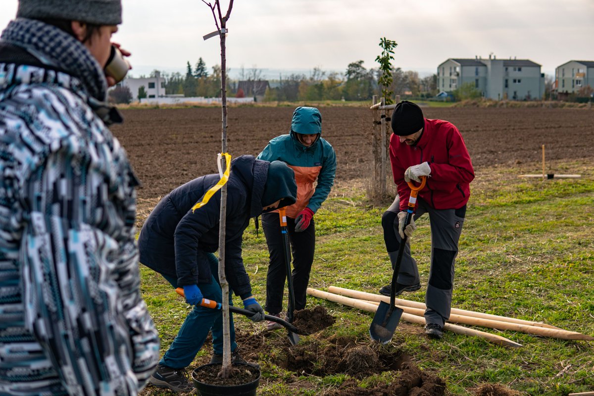 dlted_03's tweet photo. Our Data Science team didn't mind the cold and went on to plant 29 trees and 33 shrubs in the Prague suburbs. #Volunteering #MSDHelps https://t.co/BfI6m9o9b3